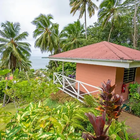 Bora Bora Holiday'S Lodge-3